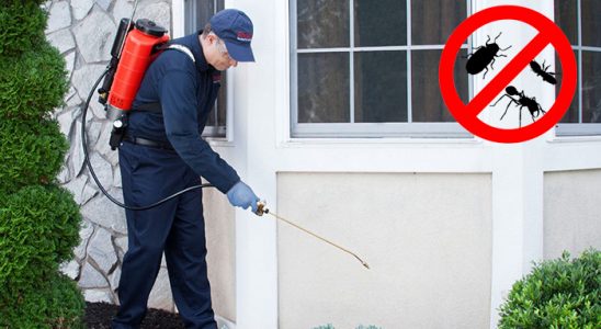 Aslanapa Dezenfeksiyon böcek ilaçlama ve haşere kontrolü — ilaclama-tr.com